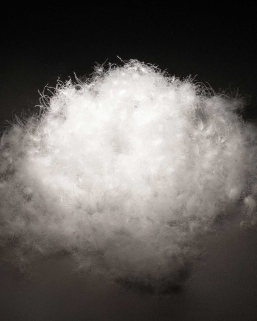 800 Fill Power down 2