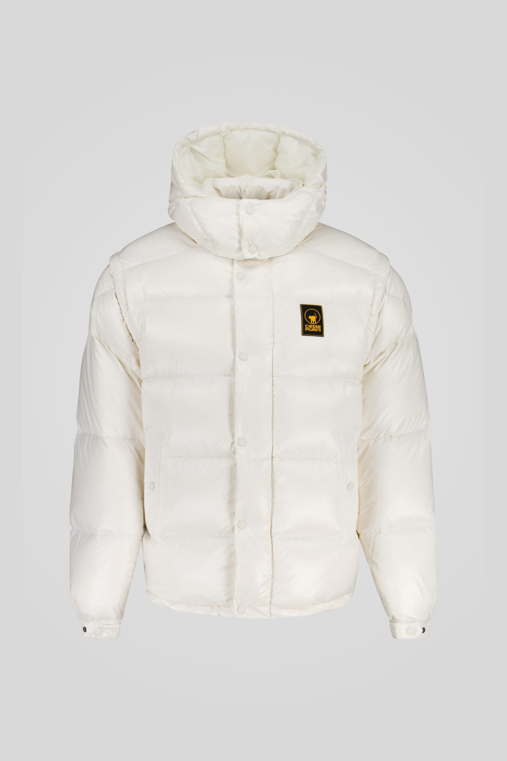 ANTON-_253PCMJI8560_N3P11D_115XXP_Front_TIFF_1.jpg ANTON 253PCMJI8560 N3P11D 115XXP Front TIFF 1 scaled