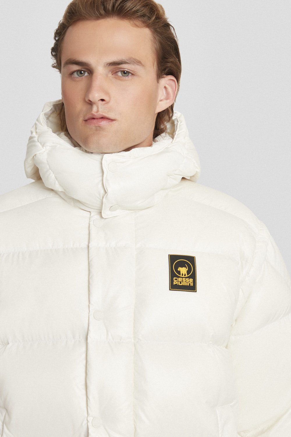 ANTON_253PCMJI8560N3P11D115XXP_4.jpg ANTON 253PCMJI8560N3P11D115XXP 4