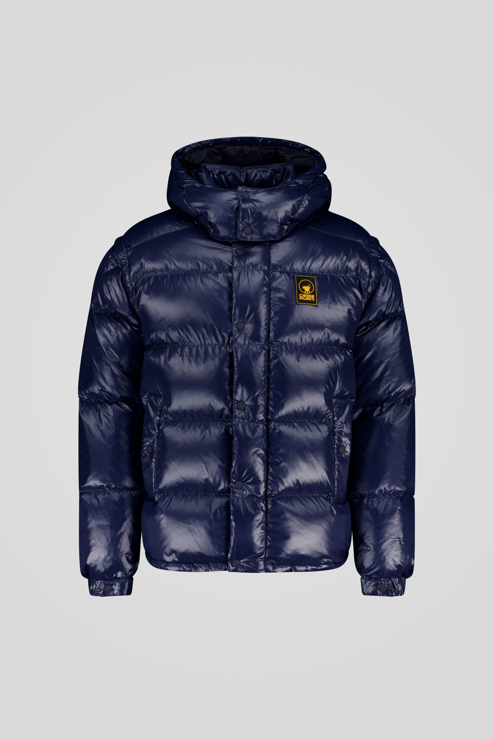 ANTON_253PCMJI8560_N3P11D_341XXP_Front_TIFF_1.jpg ANTON 253PCMJI8560 N3P11D 341XXP Front TIFF 1 scaled