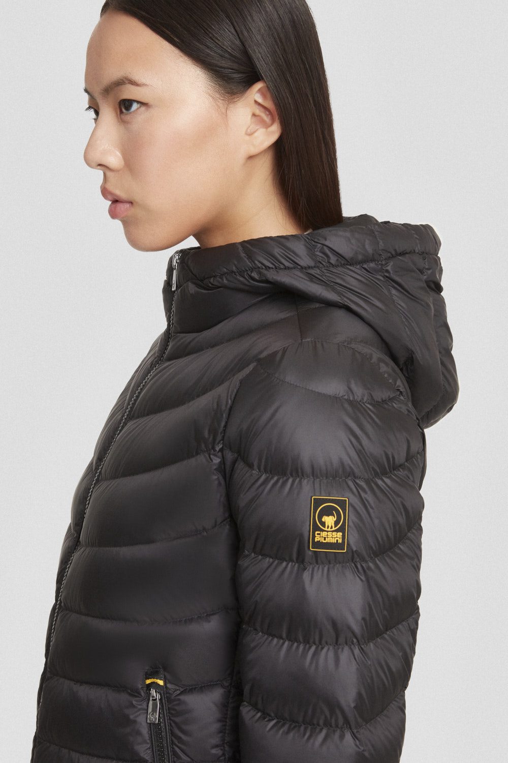 ARY_253CFWJ03101N3N11D206XXP_4.jpg ARY 253CFWJ03101N3N11D206XXP 4