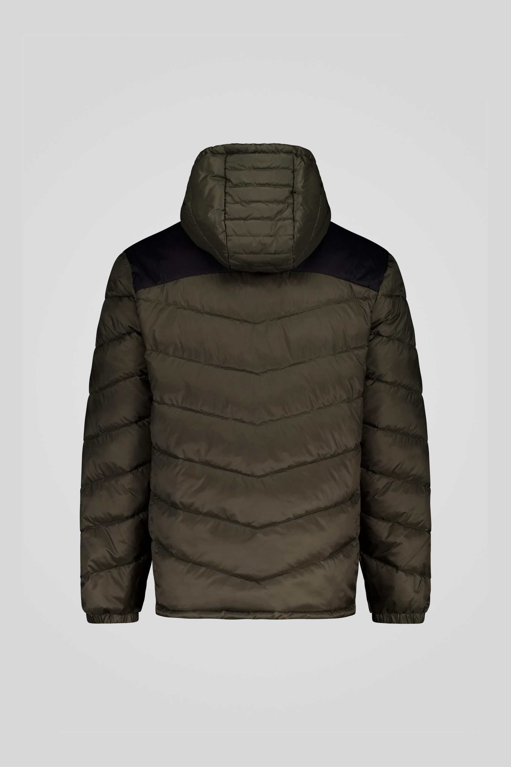 CHANS 3 0 253CPMJ00230 N0211R 427NXN Back TIFF 1 scaled