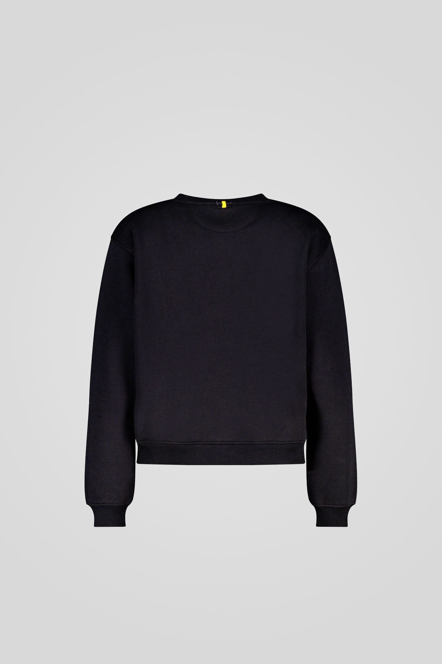 CHITRA 253CPWF33090 C0P40X 206XXX Back TIFF 1 scaled