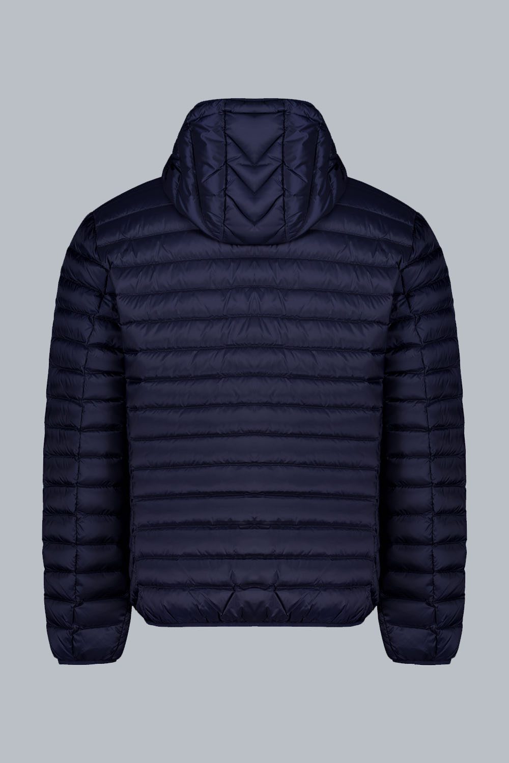 FRANKLIN2.0_PIUMINO100GRAMMI_233CFMJ00062N0210D2433413XP_Back_1.jpg FRANKLIN2.0 PIUMINO100GRAMMI 233CFMJ00062N0210D2433413XP Back 1