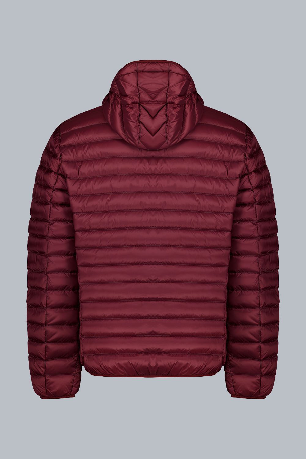 FRANKLIN2.0 PIUMINO100GRAMMI 233CFMJ00062N0210D2435047XP Back 1