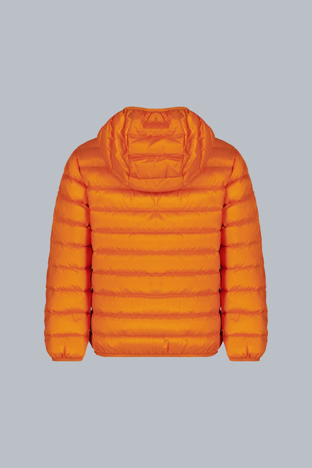 FRANKLINBOY_PIUMINO800FILLPOWER_16CFBJ00062N0210D6943XP_BK-1.jpg FRANKLINBOY PIUMINO800FILLPOWER 16CFBJ00062N0210D6943XP BK 1