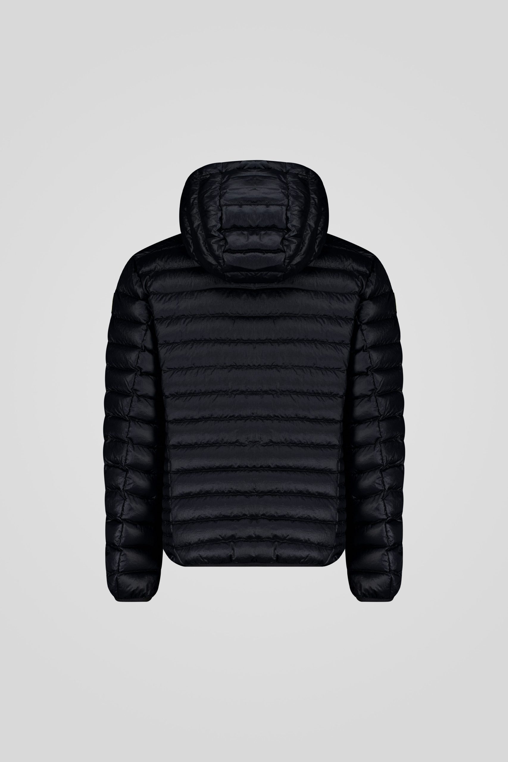 FREDDY 253CFMJ08538 N5E11D 206XXP Back TIFF 1 scaled