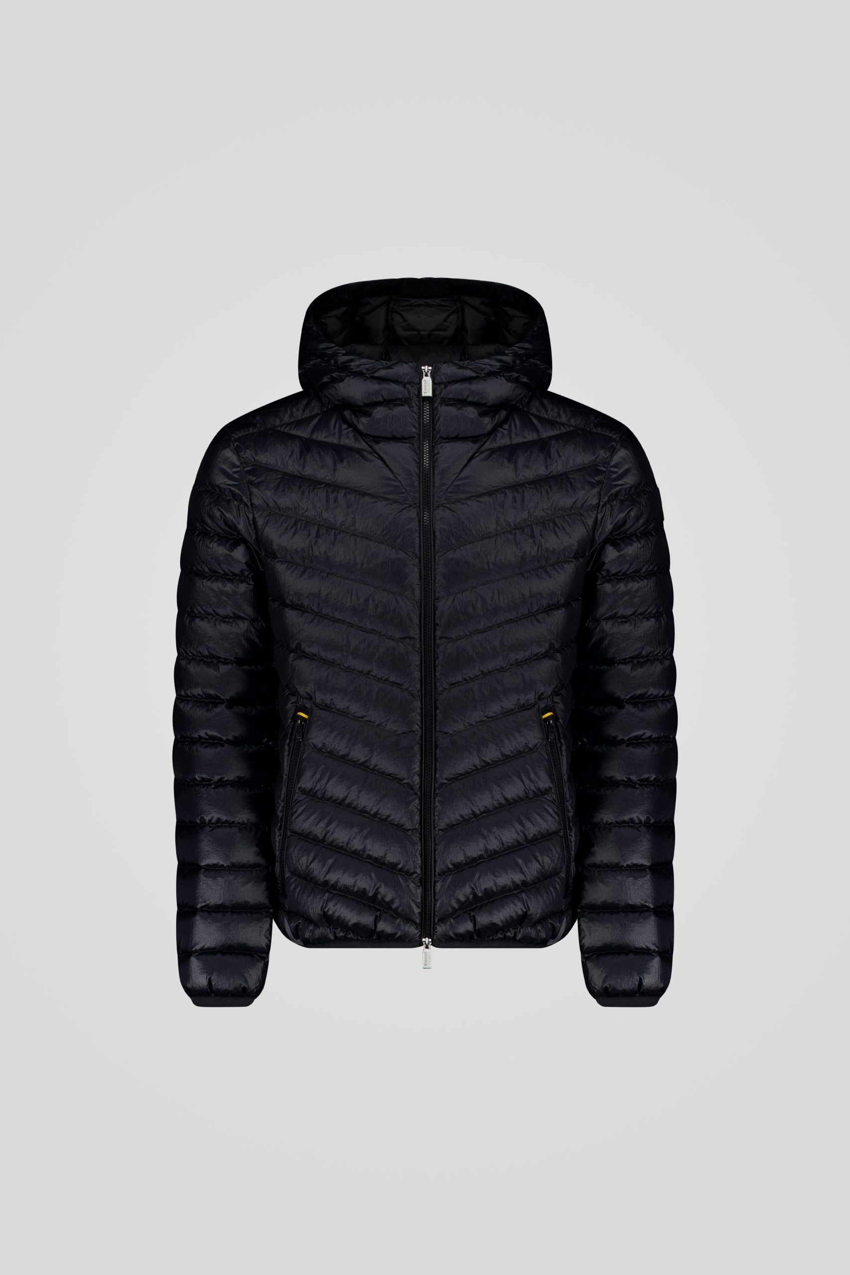 FREDDY 253CFMJ08538 N5E11D 206XXP Front TIFF 1 scaled