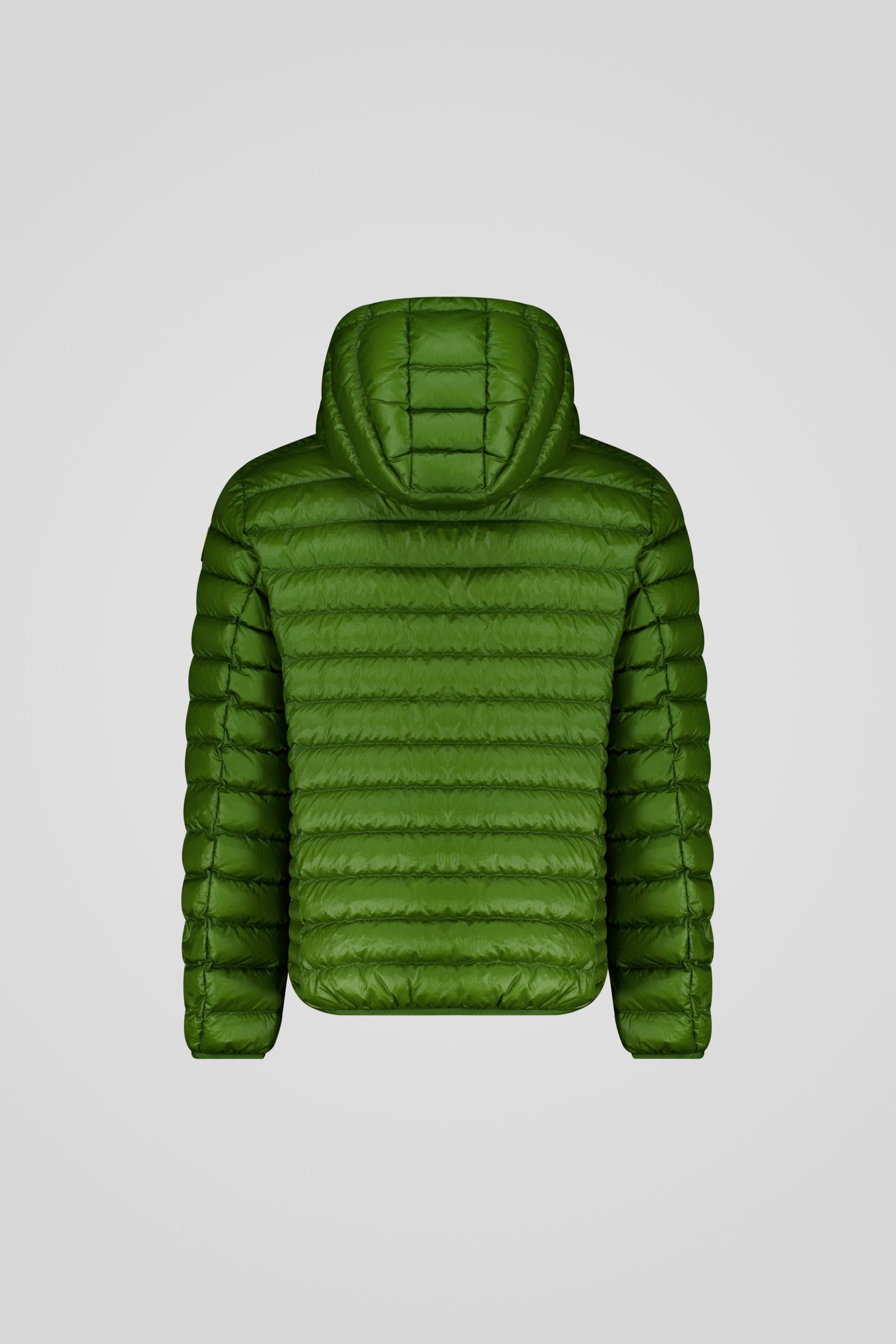 FREDDY 253CFMJ08538 N5E11D 42QXXP Back TIFF 1 scaled