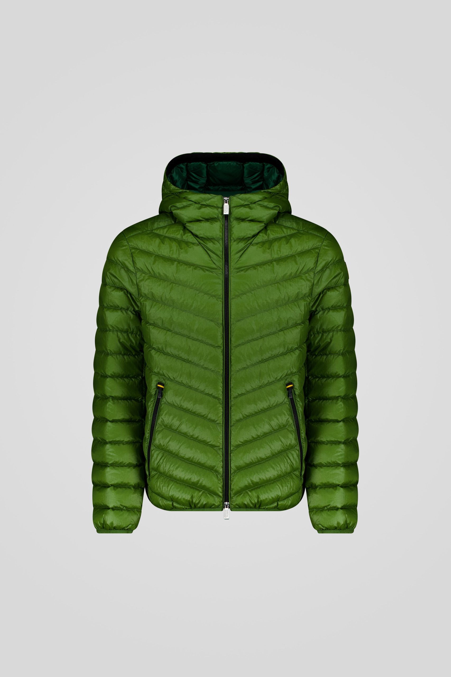 FREDDY 253CFMJ08538 N5E11D 42QXXP Front TIFF 1 scaled