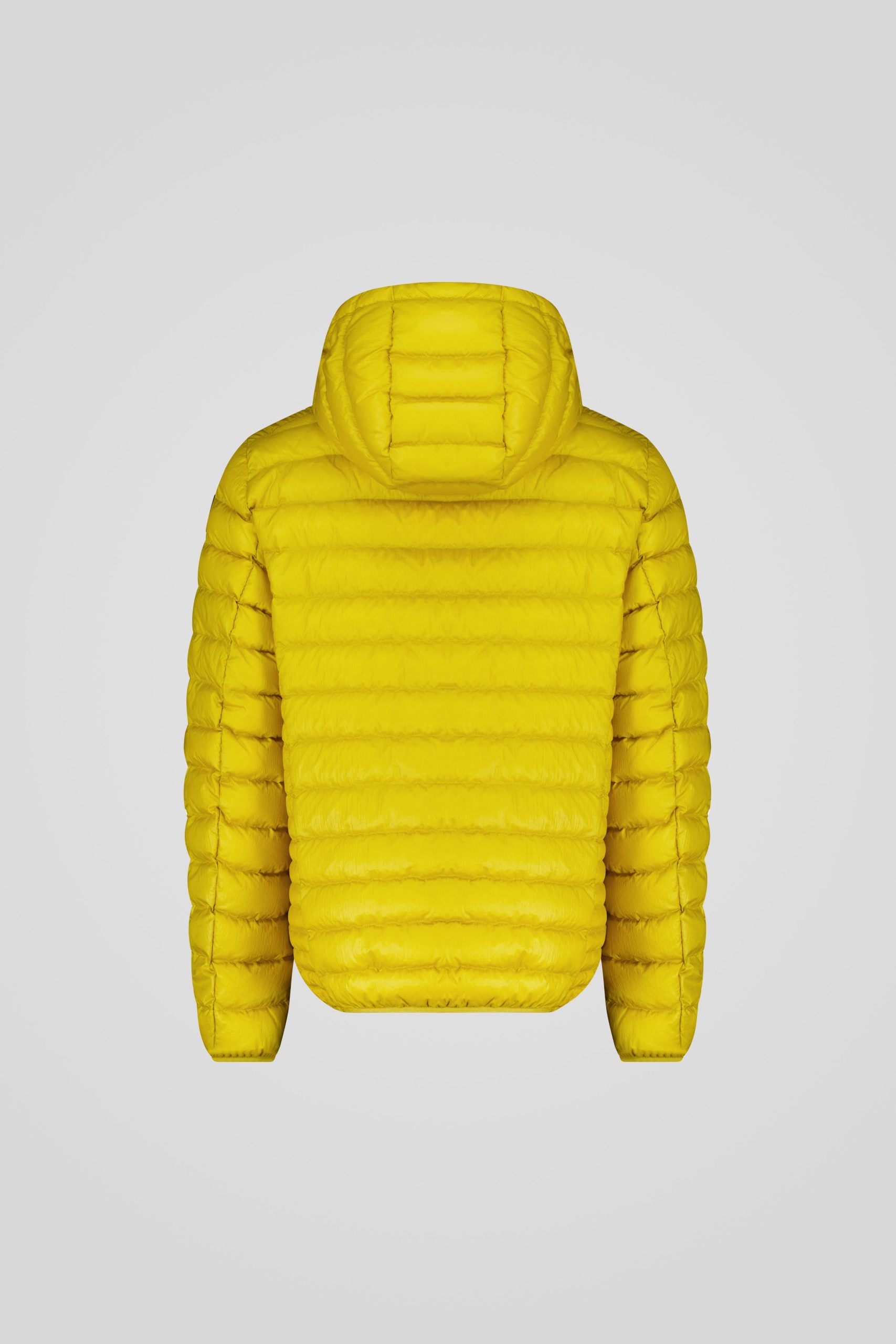 FREDDY 253CFMJ08538 N5E11D 610XXP Back TIFF 1 scaled