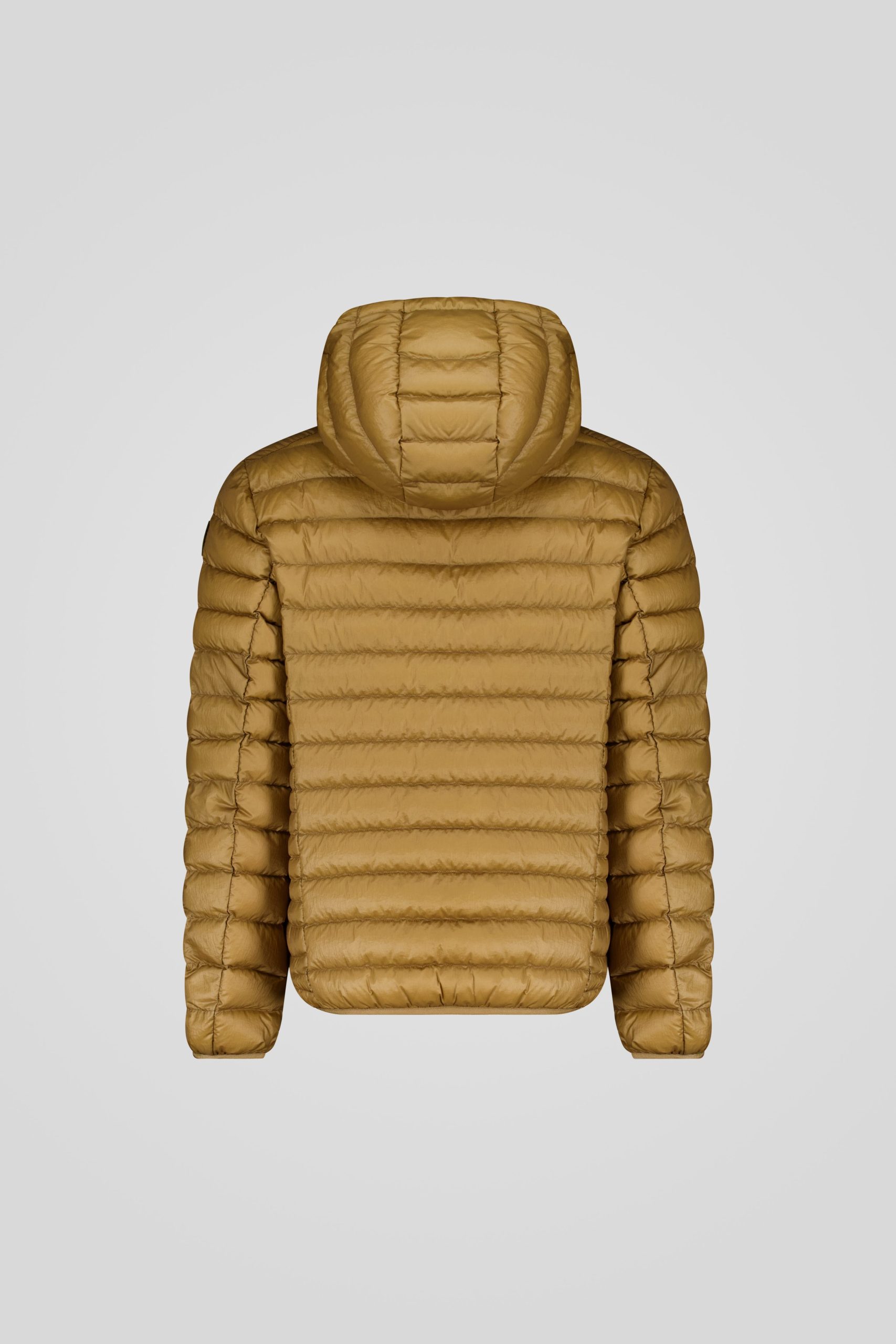 FREDDY 253CFMJ08538 N5E11D 70ZXXP Back TIFF 1 Recovered scaled