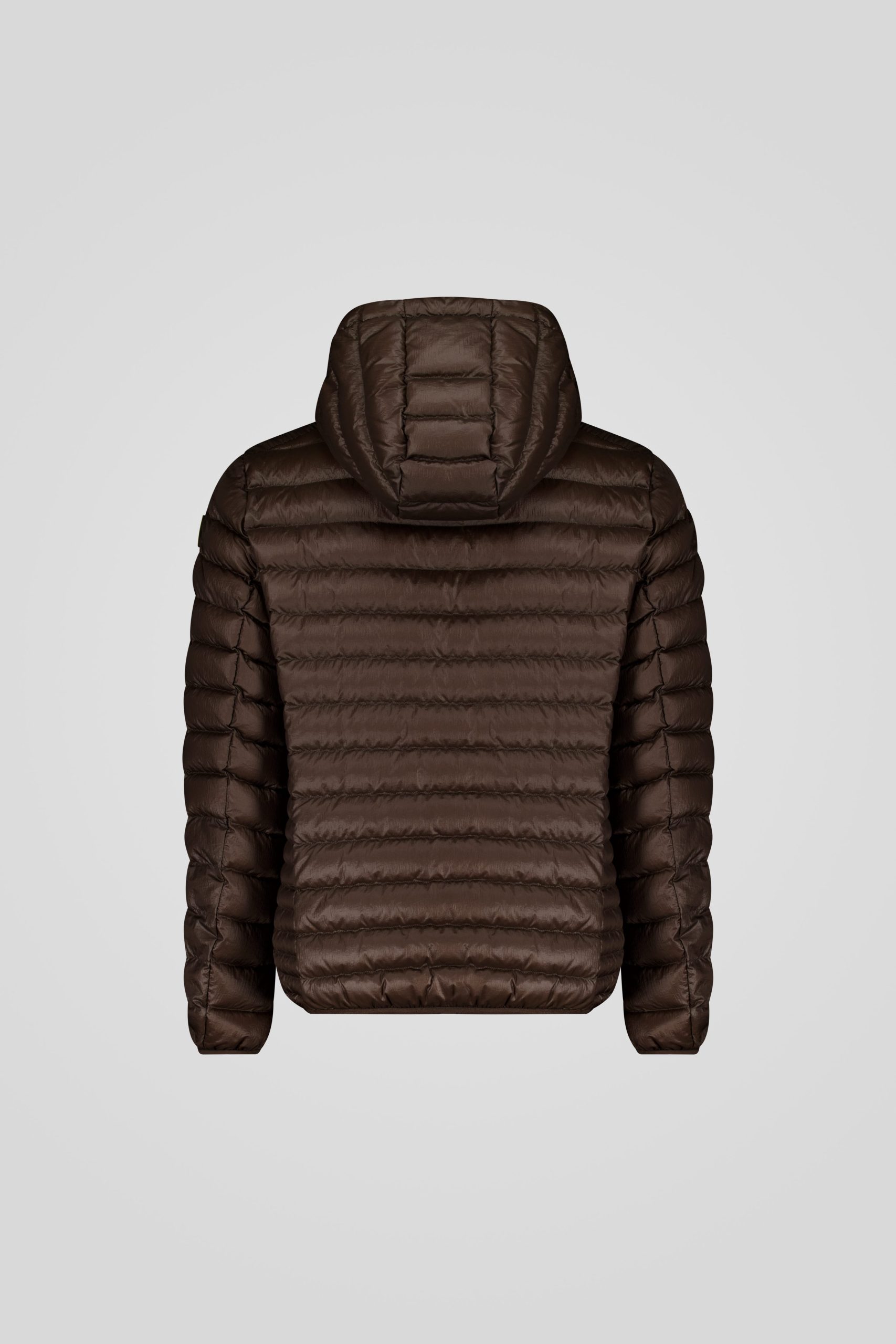 FREDDY 253CFMJ08538 N5E11D 71AXXP Back TIFF 1 scaled