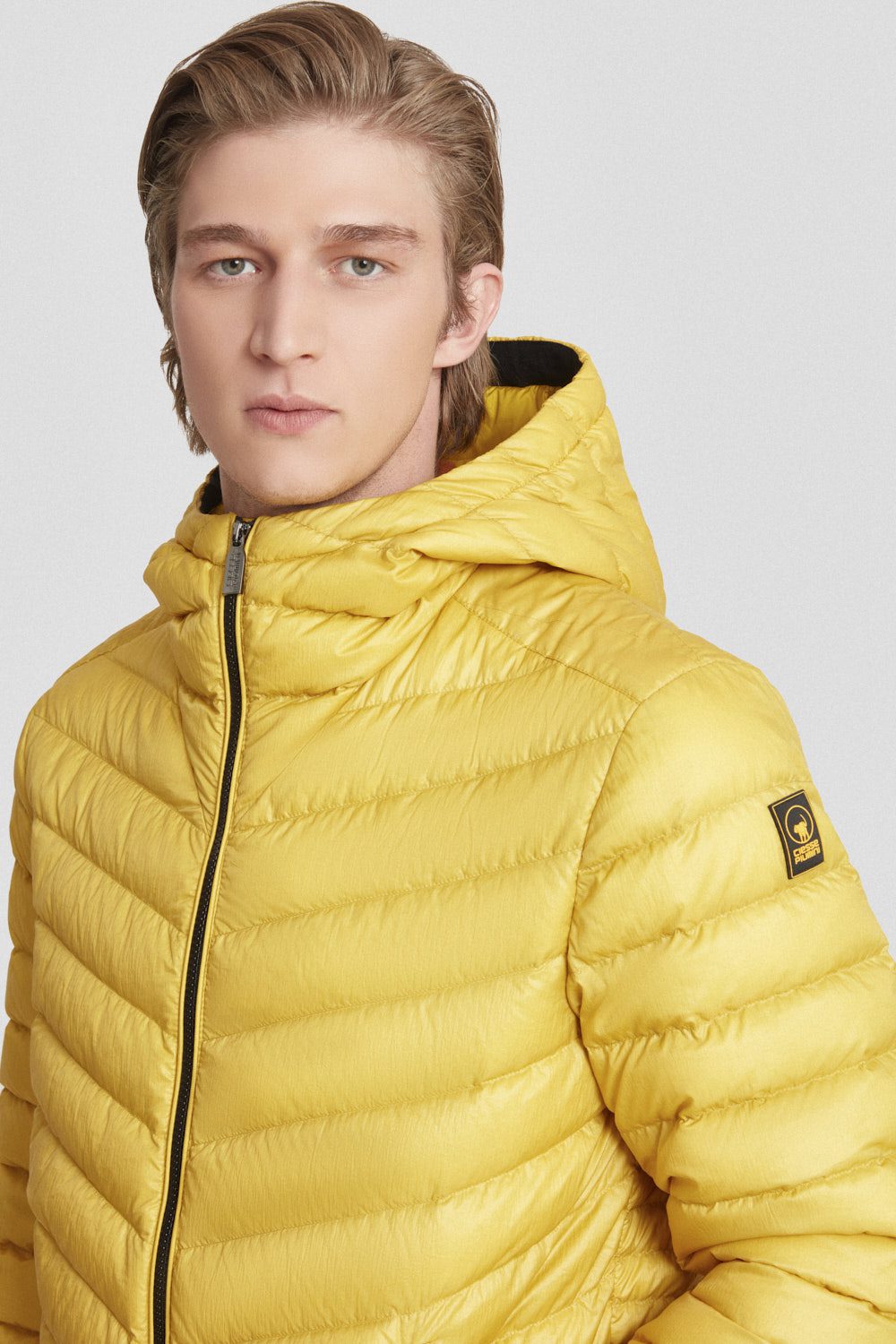 FREDDY 253CFMJ08538N5E11D610XXP 4