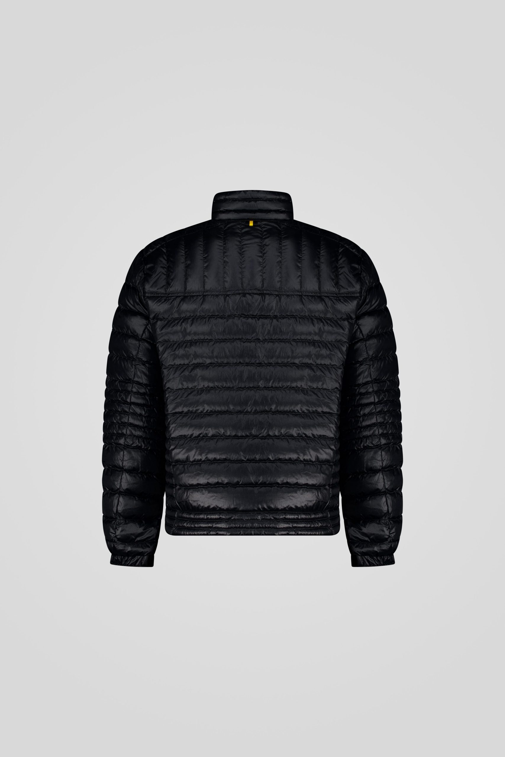 GASPAR 253CFMJ28539 N5E11D 206XXP Back TIFF 1 scaled