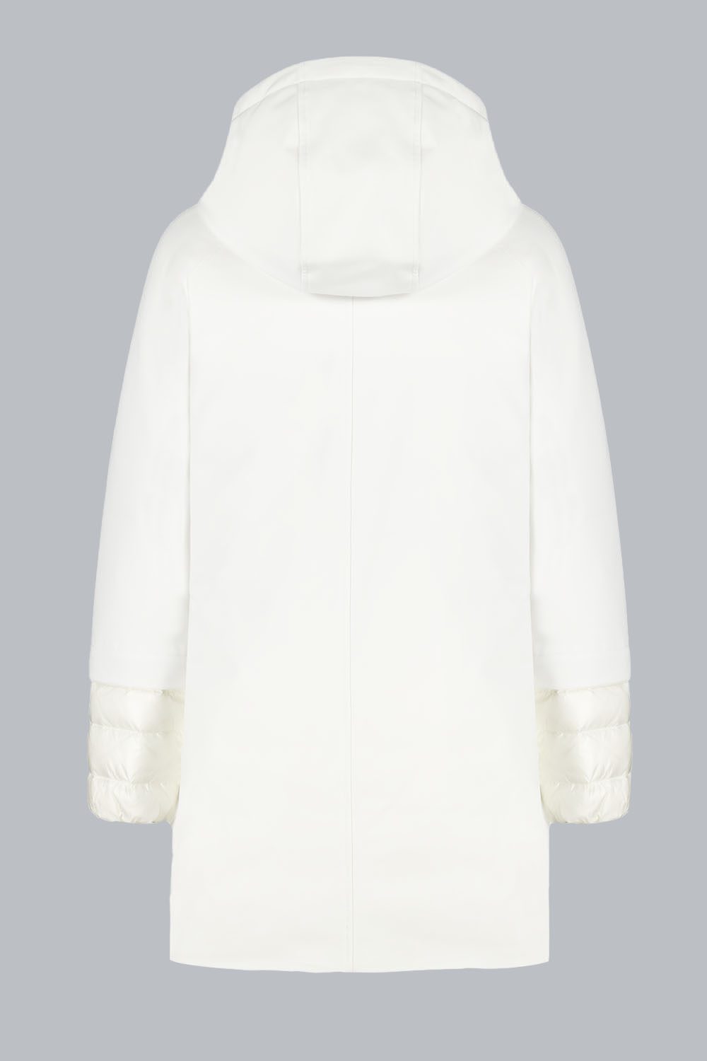 GINESTRA_GIACCASOFTSHELL_243PCWC32396P0125D248115XXP_Back_1-1.jpg GINESTRA GIACCASOFTSHELL 243PCWC32396P0125D248115XXP Back 1 1