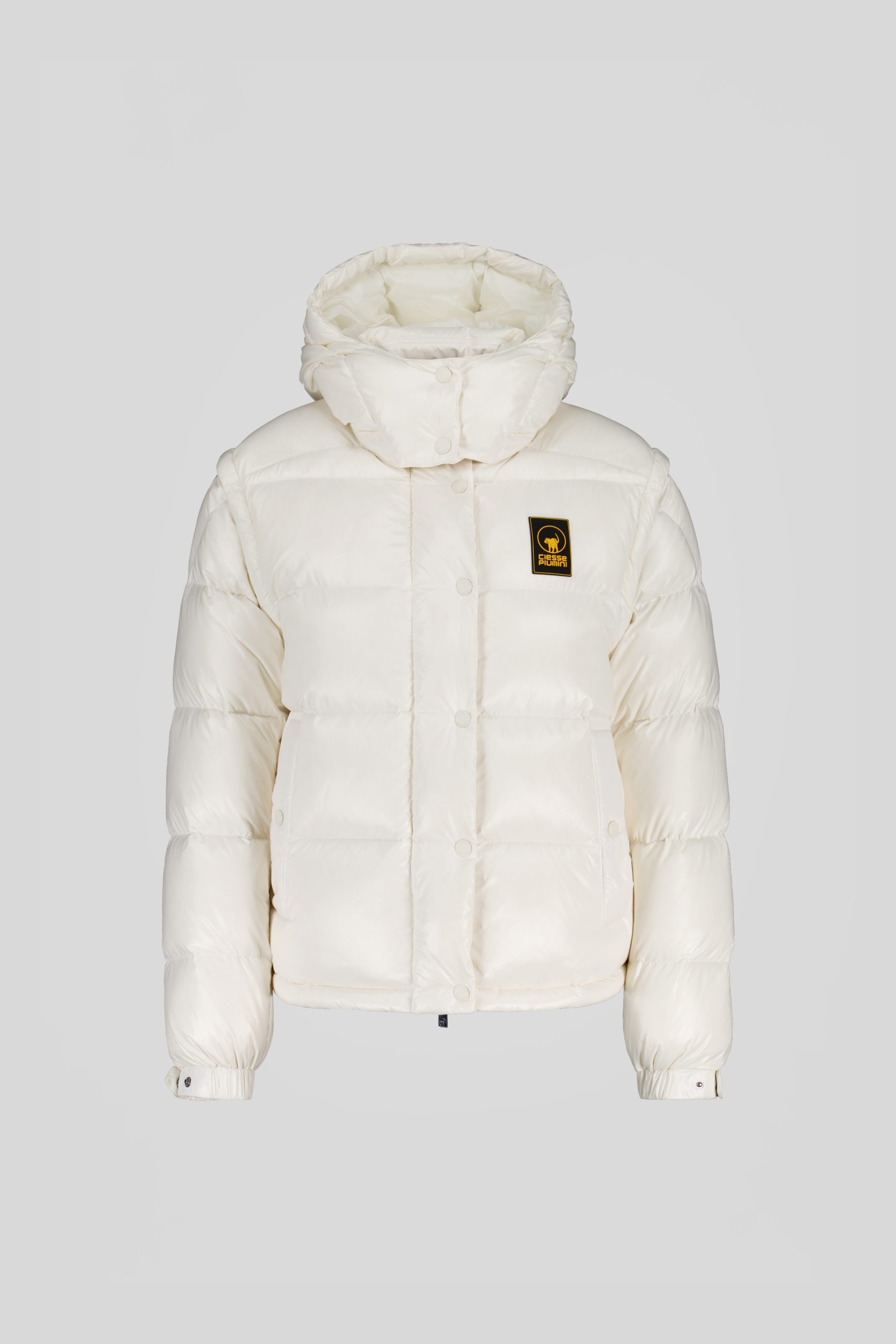 GINNY-_253PCWJI3031_N3P11D_115XXP_Front_TIFF_1.jpg GINNY 253PCWJI3031 N3P11D 115XXP Front TIFF 1 scaled