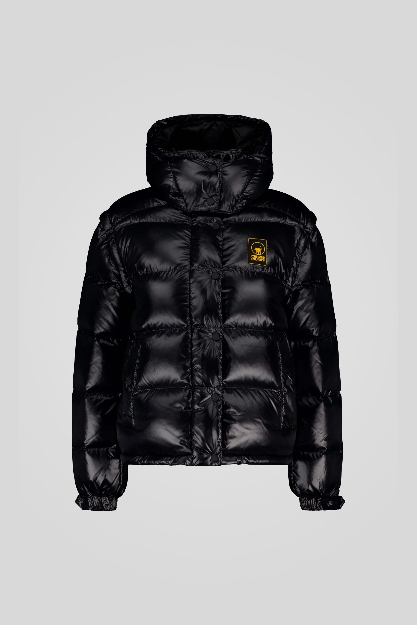 GINNY-_253PCWJI3031_N3P11D_206XXP_Front_TIFF_1.jpg GINNY 253PCWJI3031 N3P11D 206XXP Front TIFF 1 scaled