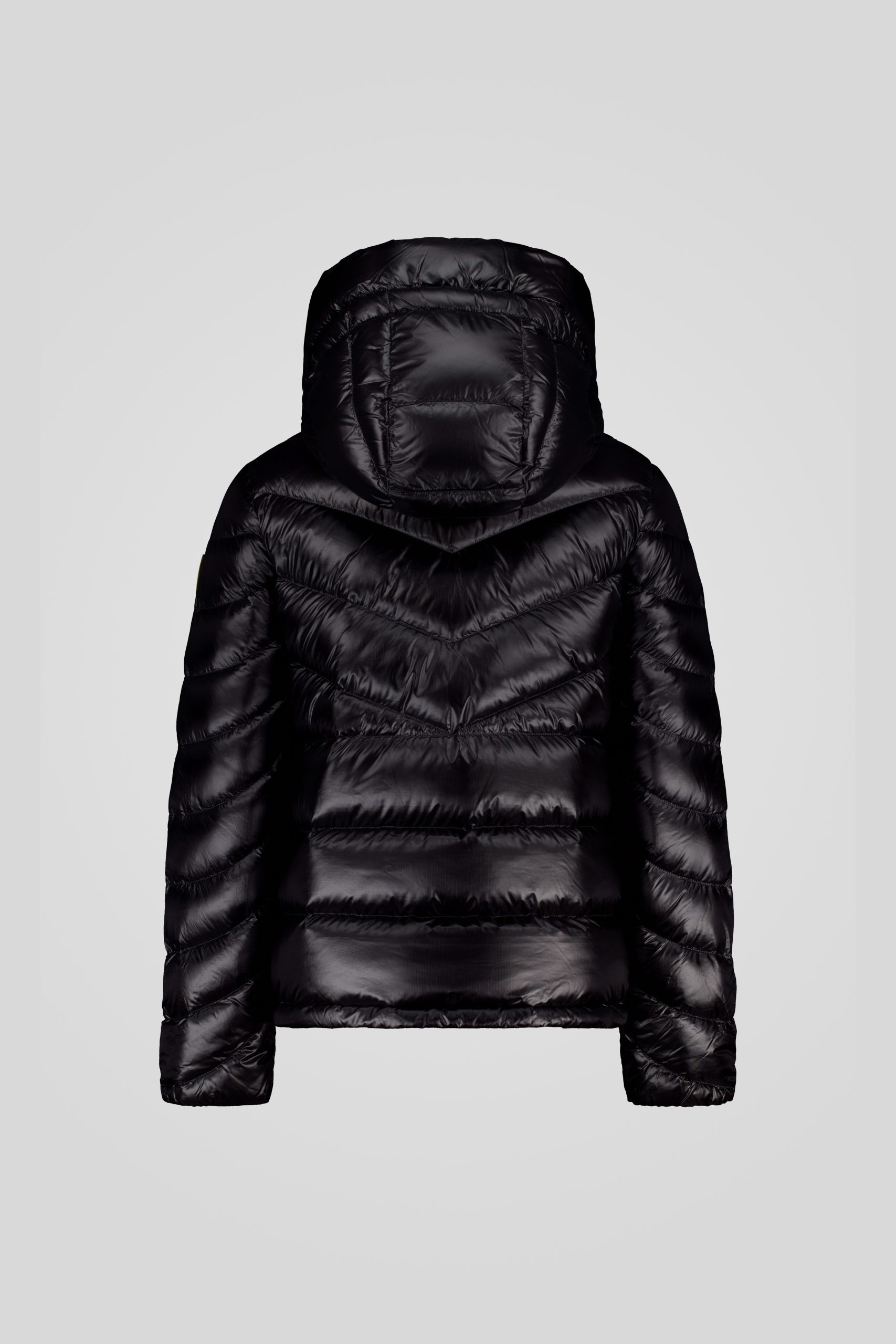 HEIDI 253CFWJ03012 N3O11D 206XXP Back TIFF 1 scaled