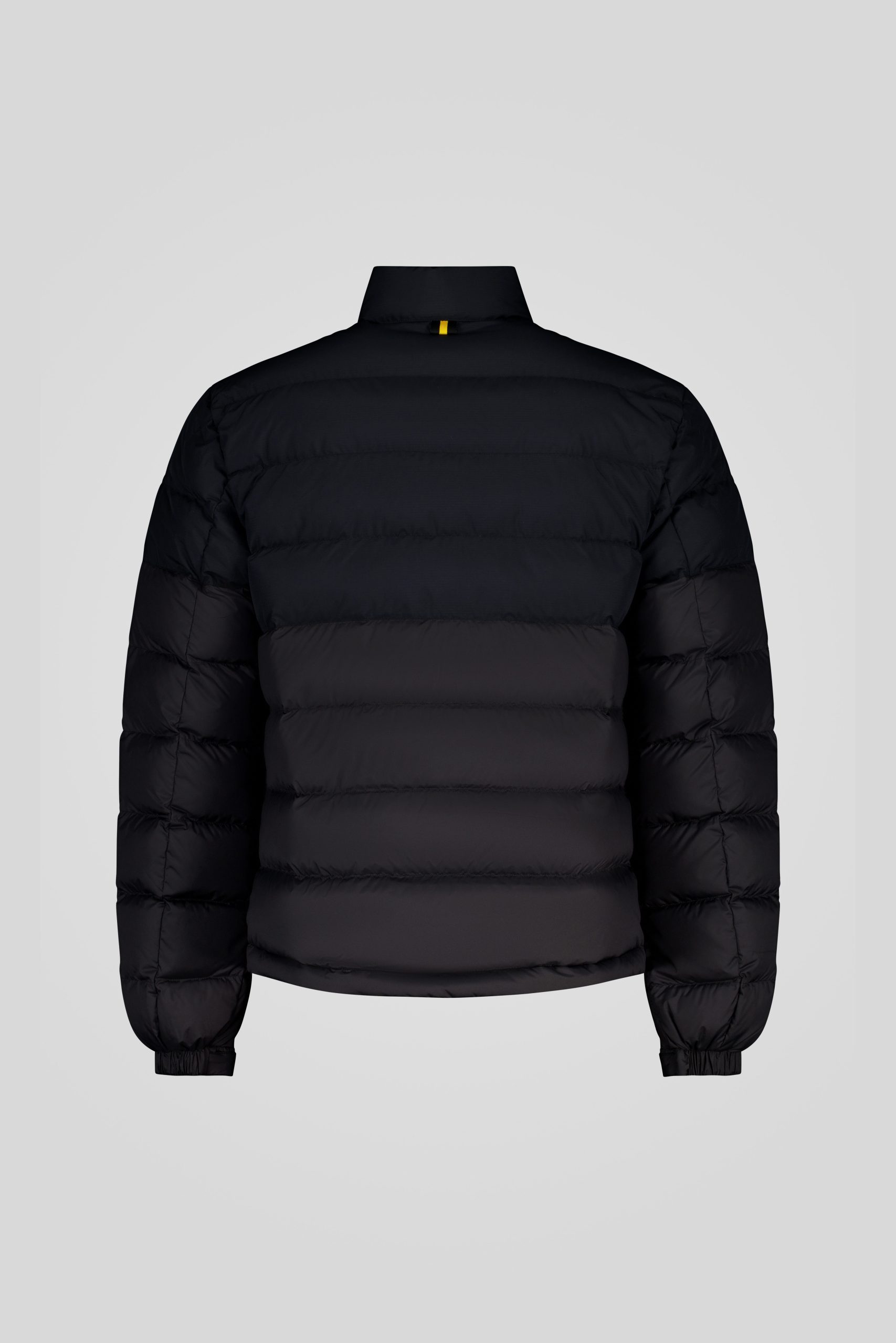 IURI 253PCMHV8558 P7P11P 206XXP Back TIFF 2 scaled