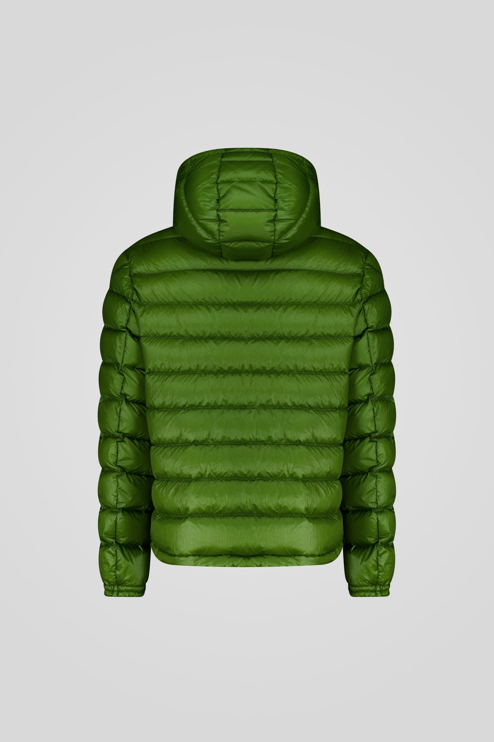 NED 21 253CFMJ01484 N5E11D 42QXXP Back TIFF 1 1 scaled