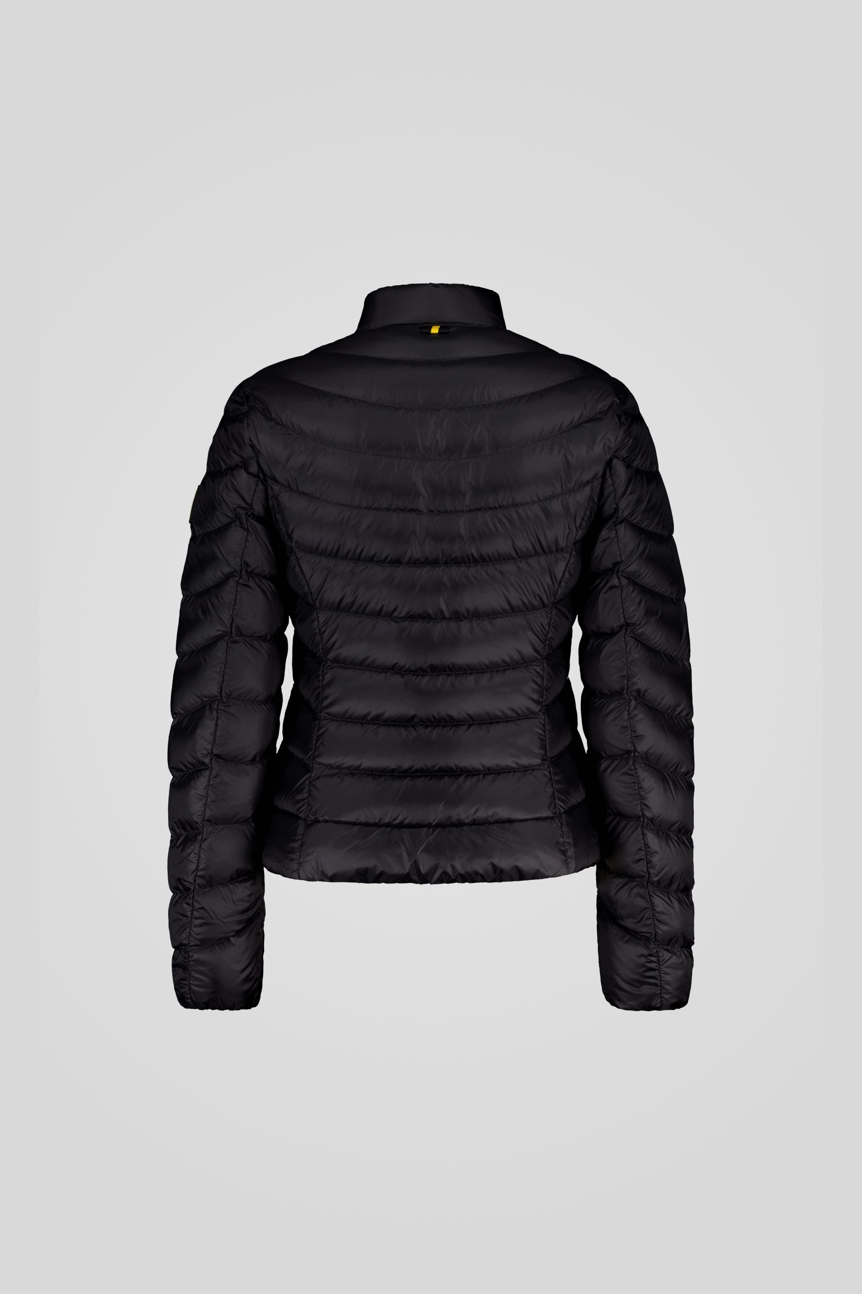 PISKA 253CFWJ23004 N3N11D 206XXP Back TIFF 1 scaled