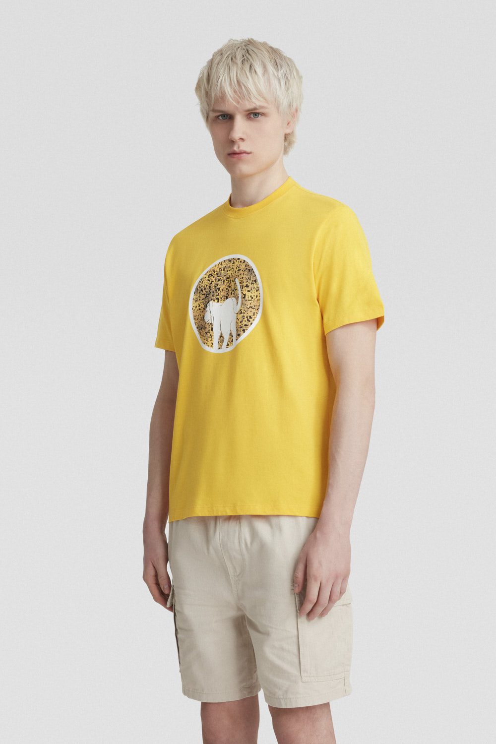 PIXIL 2550CMT08474 C9330X 601XXX 2