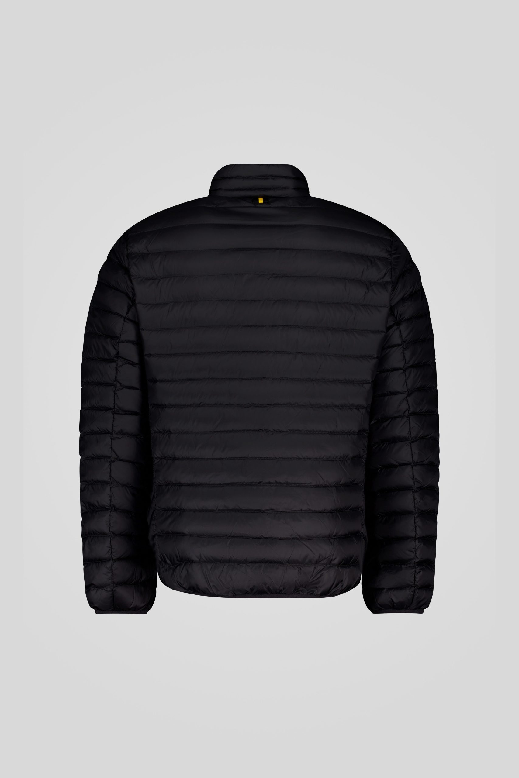 PRINCE 3 0 253CFMJ20061 N3N11D 206XXP Back TIFF 1 scaled