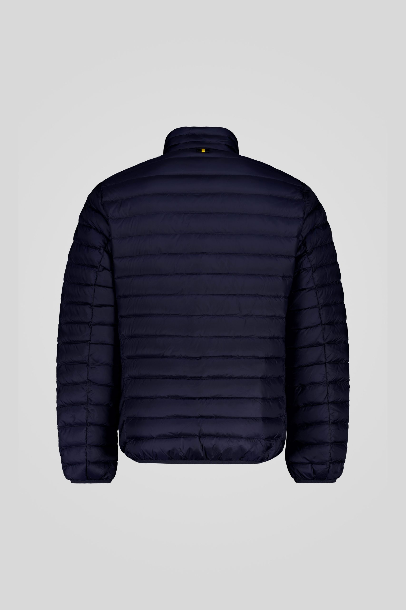 PRINCE 3 0 253CFMJ20061 N3N11D 341XXP Back TIFF 1 scaled