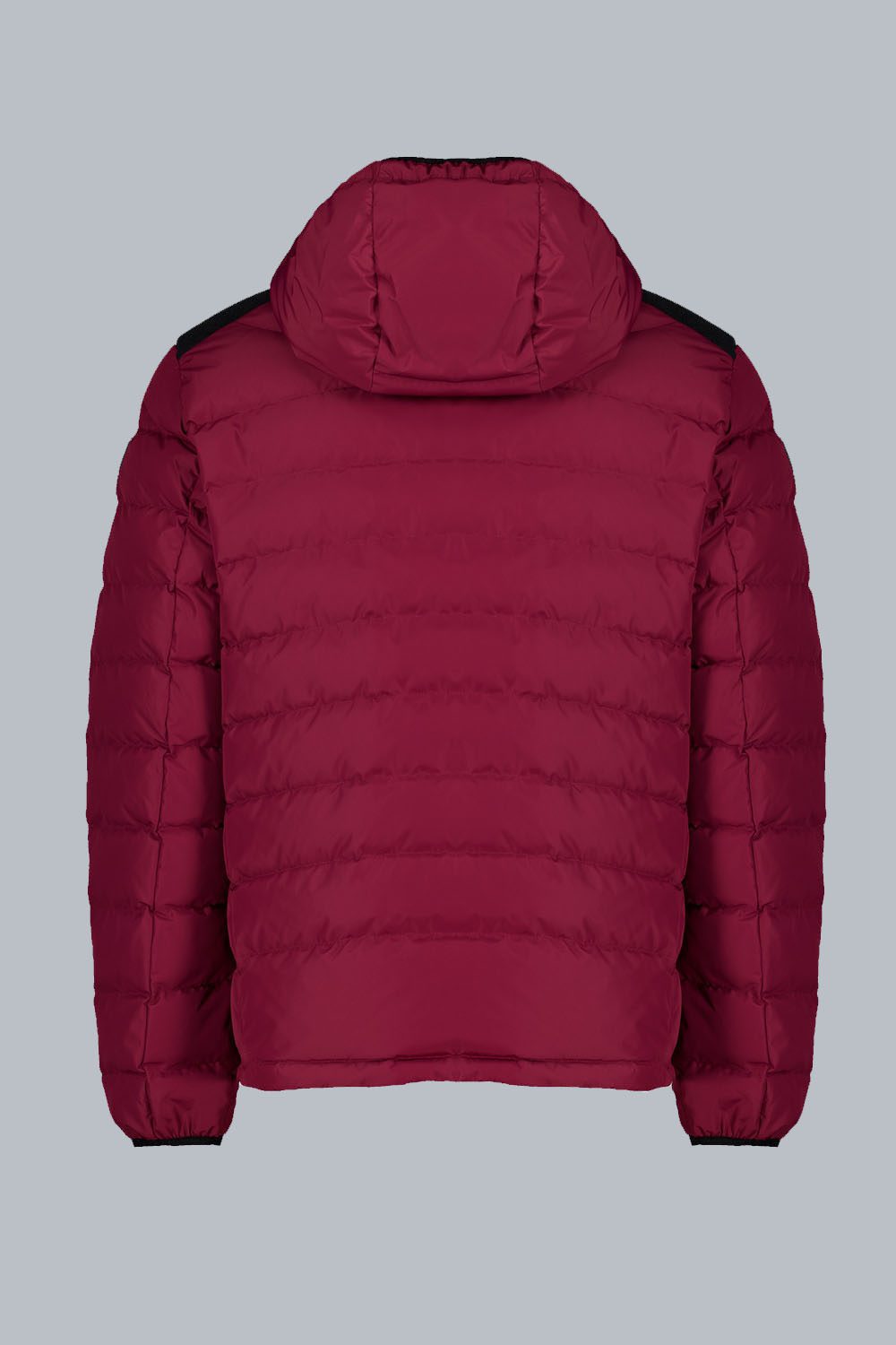 STEVENSON_PIUMINOCORTO_234CPMJ01510P1410D2435042XP_Back_1.jpg STEVENSON PIUMINOCORTO 234CPMJ01510P1410D2435042XP Back 1