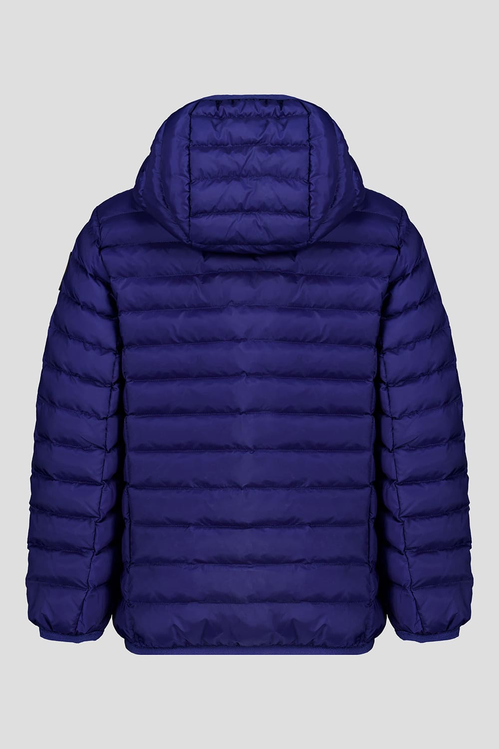 WILLY BOY 3.4 Piumini leggeri 245CPBJ01539N0210R335XXN Still life 1