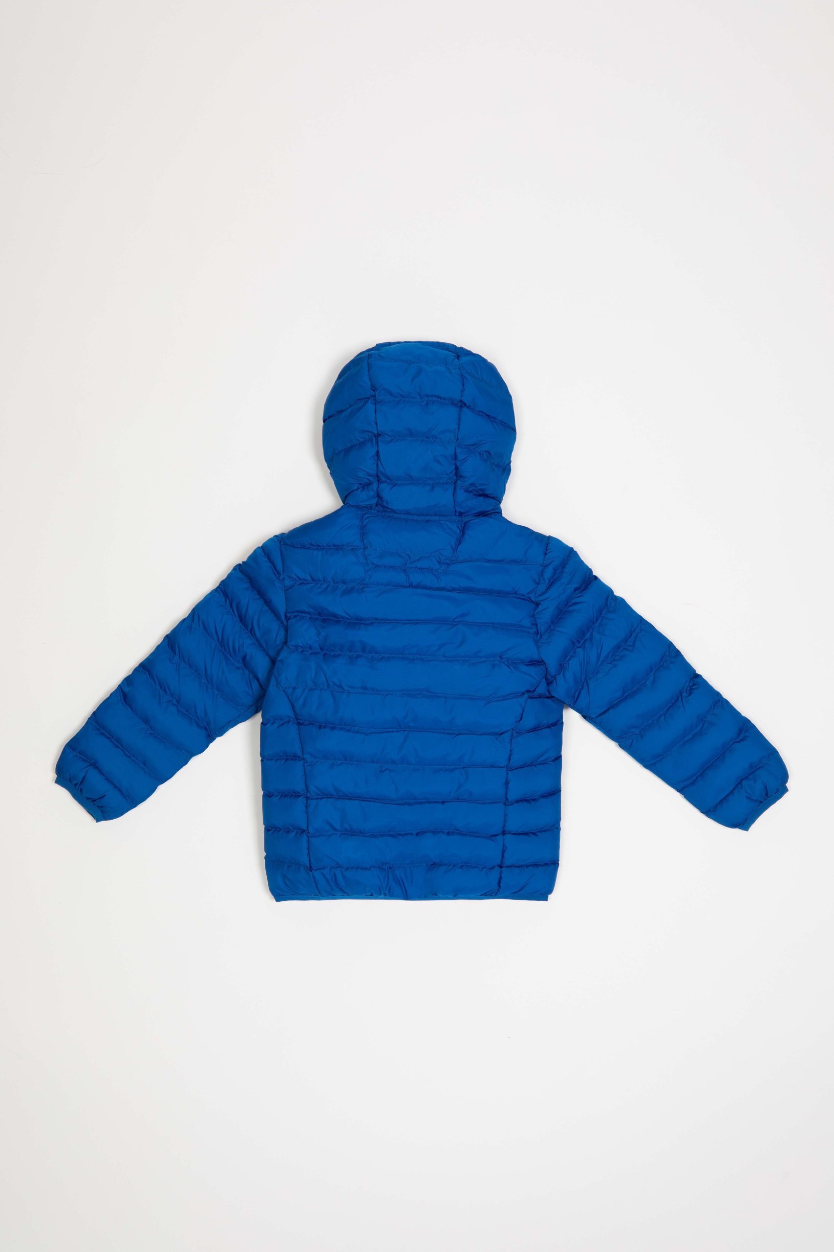 WILLY BOY P1O10R 397XXN 1 scaled